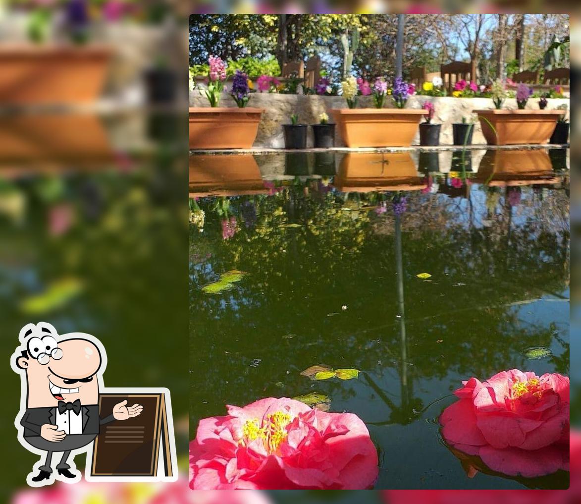 Botanical Babil Cafe