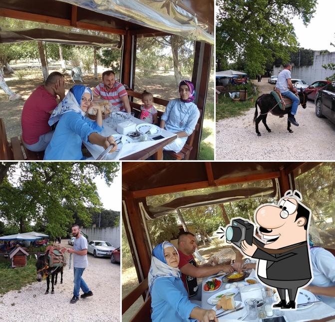 Vadi Restaurant