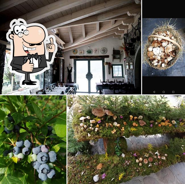 Agriturismo Naunâl, Priola Di Sutrio (Ud) Sùtrio