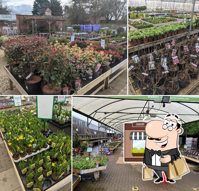 Charlecote Garden Centre