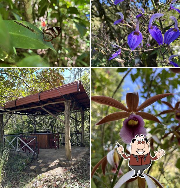Finca Sol y Luna Ecolodge