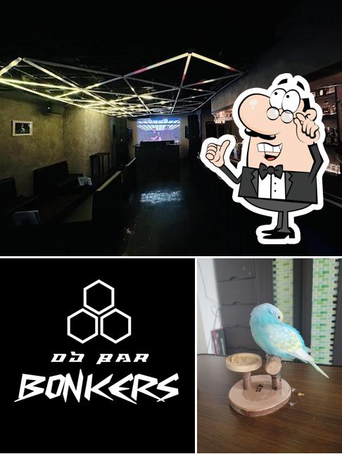 DJ BAR BONKERS