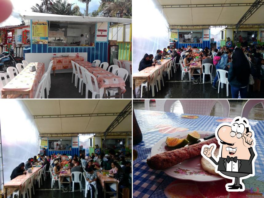 La carpa de maria