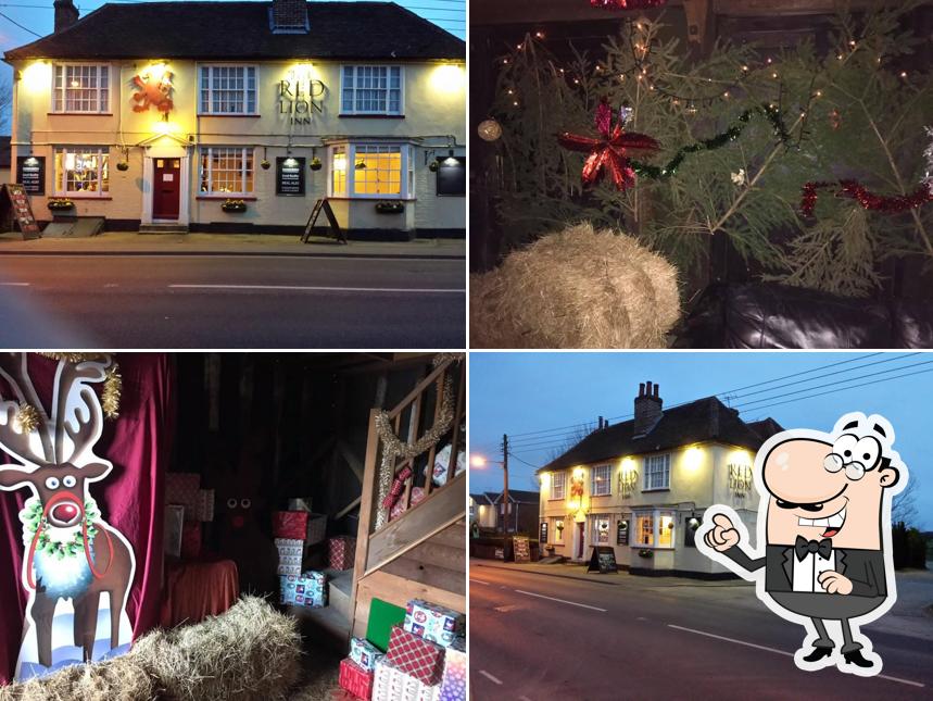 The Red Lion