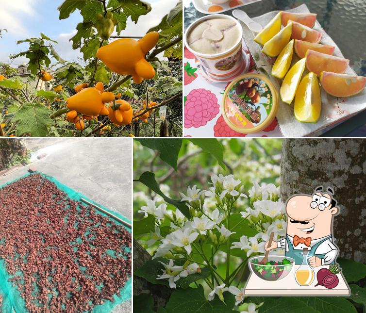 Chouchia Tourist Farm