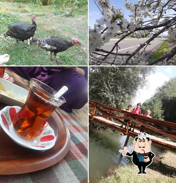 Aftor Alabalık ve Restaurant