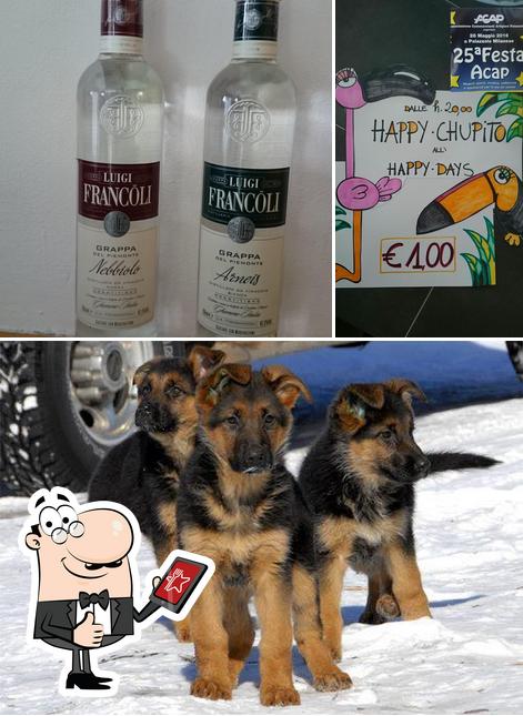 Happy Days Bar