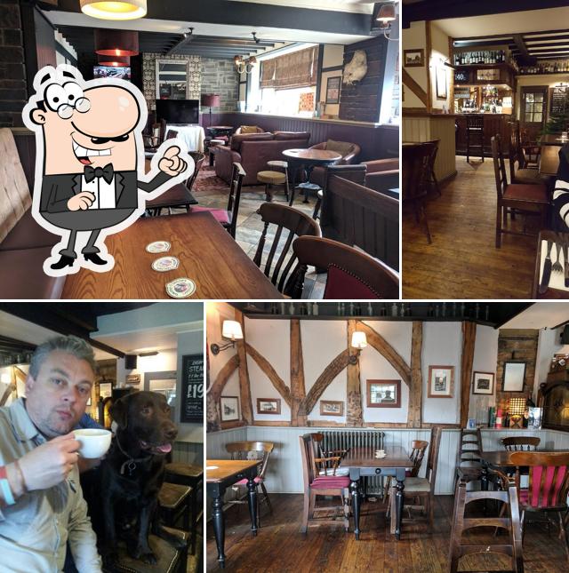 The White Lion