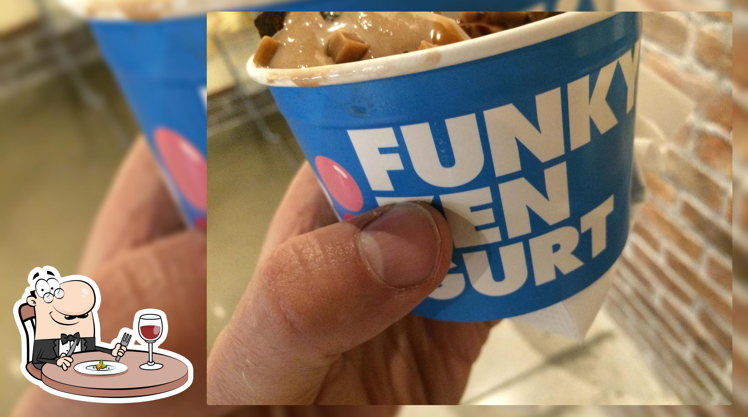 Funky Frozen Yogurt