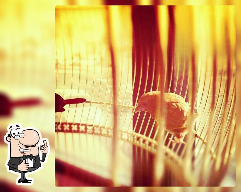 Суши Студия Таки