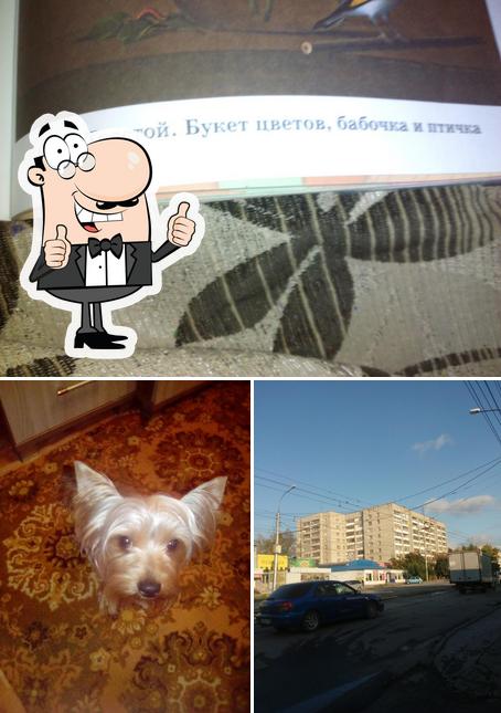 Кафе Подсолнуха