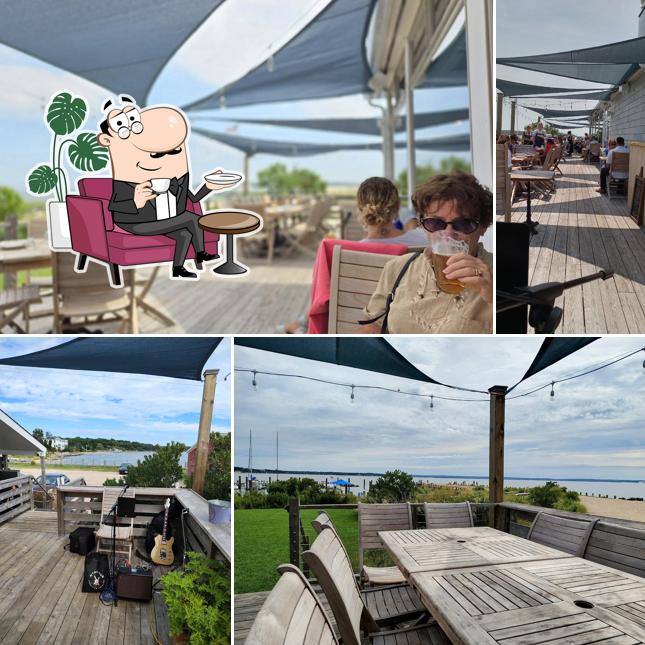 Minnow At The Galley Ho