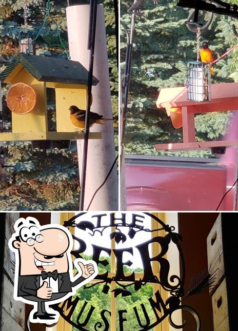 Corner Bar & Grill