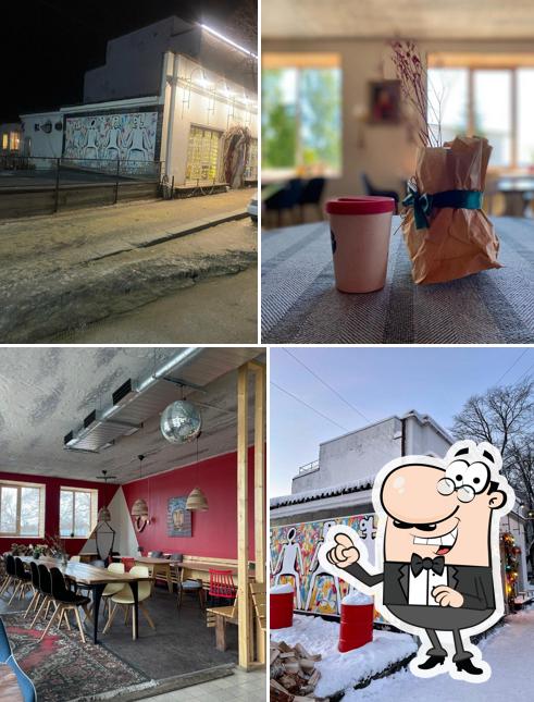 Наслаждайтесь видом , который открывается из "Лось и тролль"