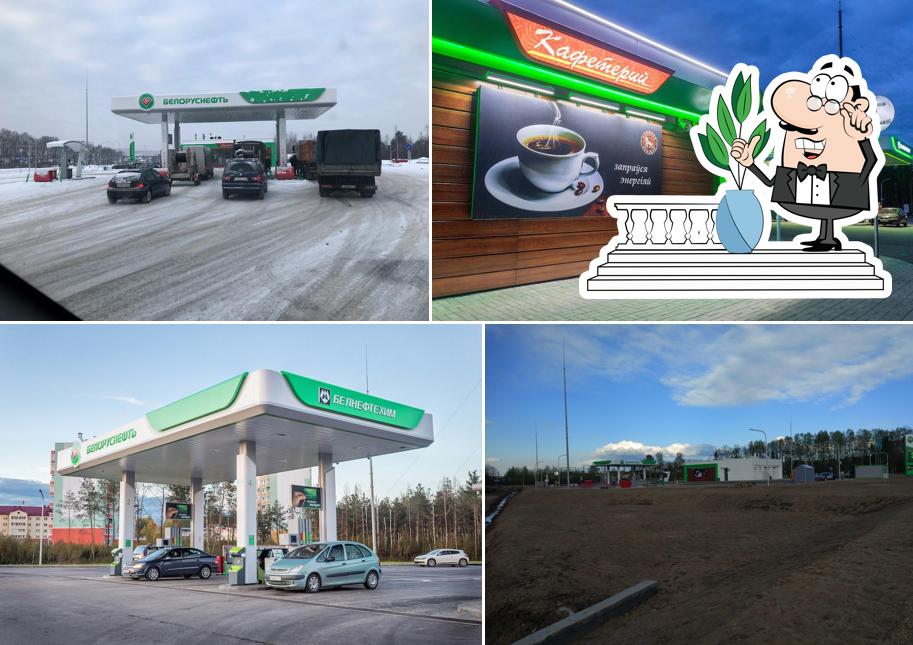 Белоруснефть