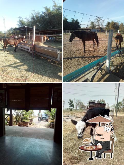 SUP YAI LITTLE COWBOY & BEER GARDEN