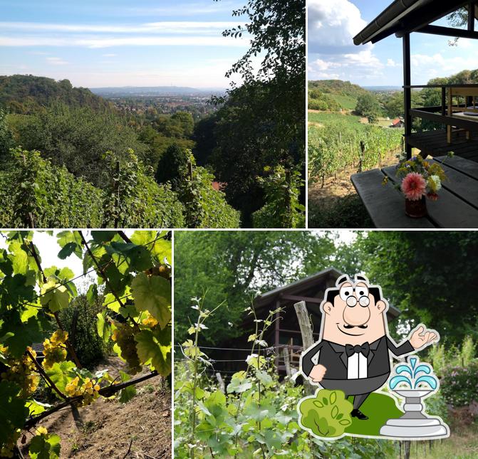 Winzerei Paradiesberg