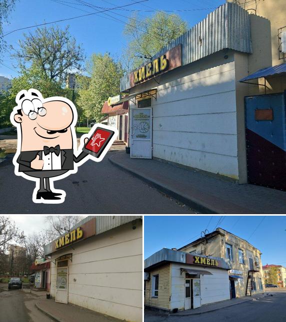 Хмель