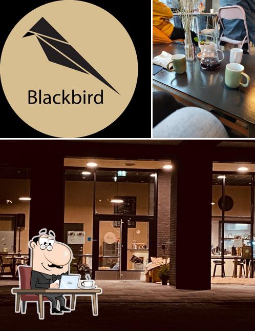 Blackbird - Kafé og møteplass