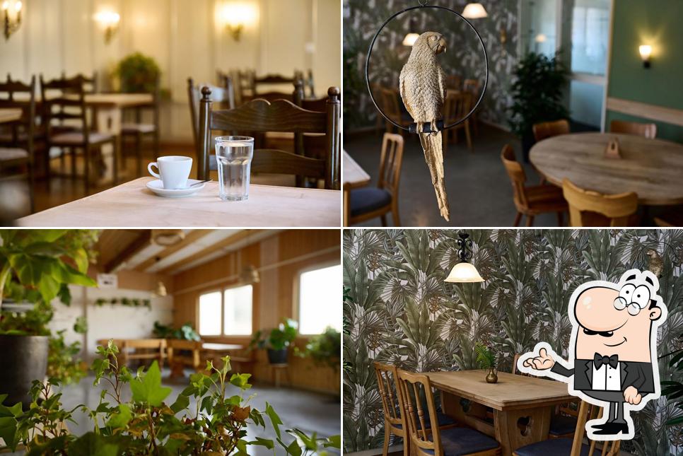Rossmarie Bar-Lounge und Eventlokal