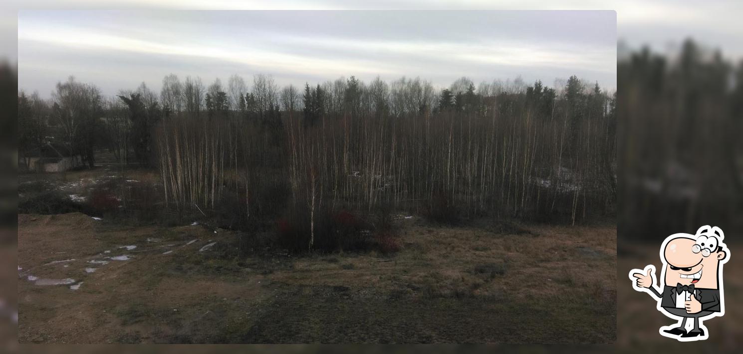 Музейное кафе