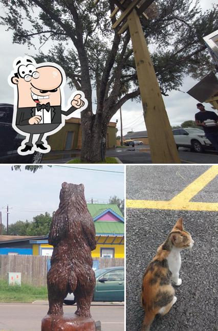 Bear's Food Park