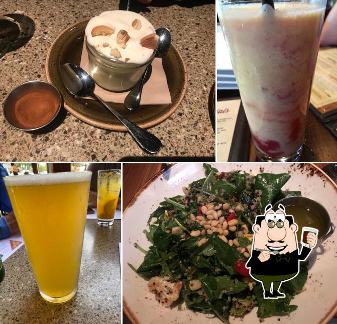 Roadtrip Bowls Made by Lazy Dog