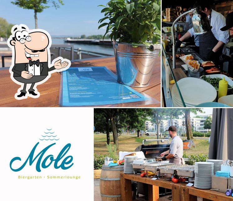 Mole Biergarten Sommerlounge