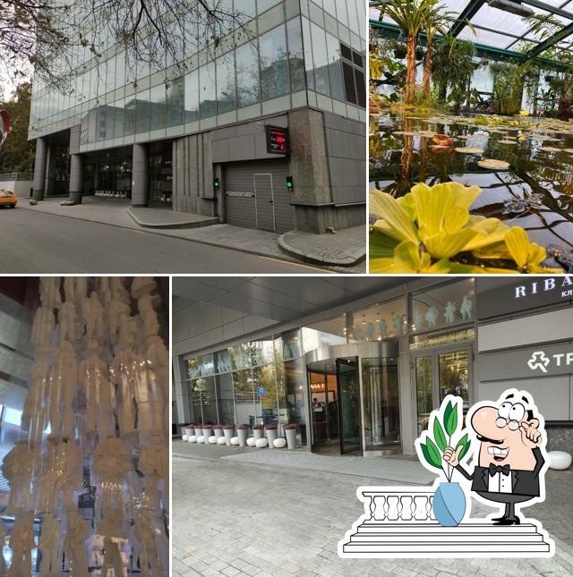 Внешнее оформление "Рибамбеля Грина"