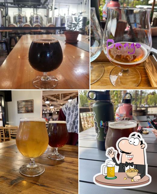 Northspur Brewing Co
