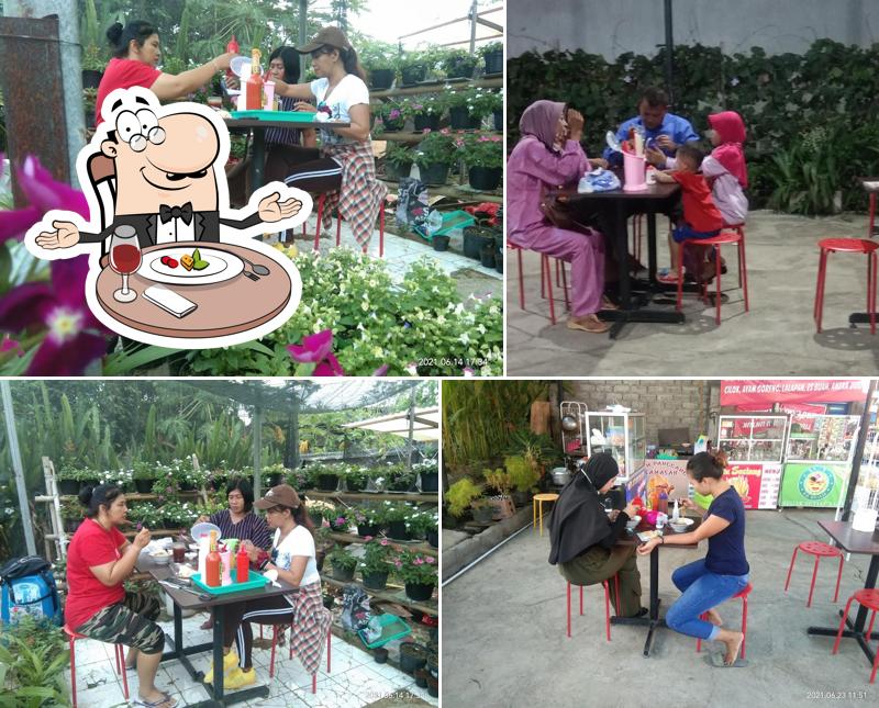 the Gardenous