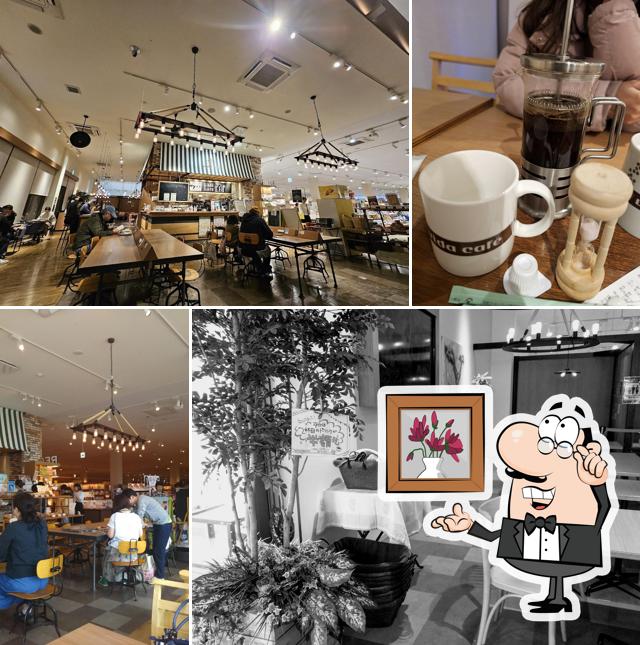 Vida Cafe