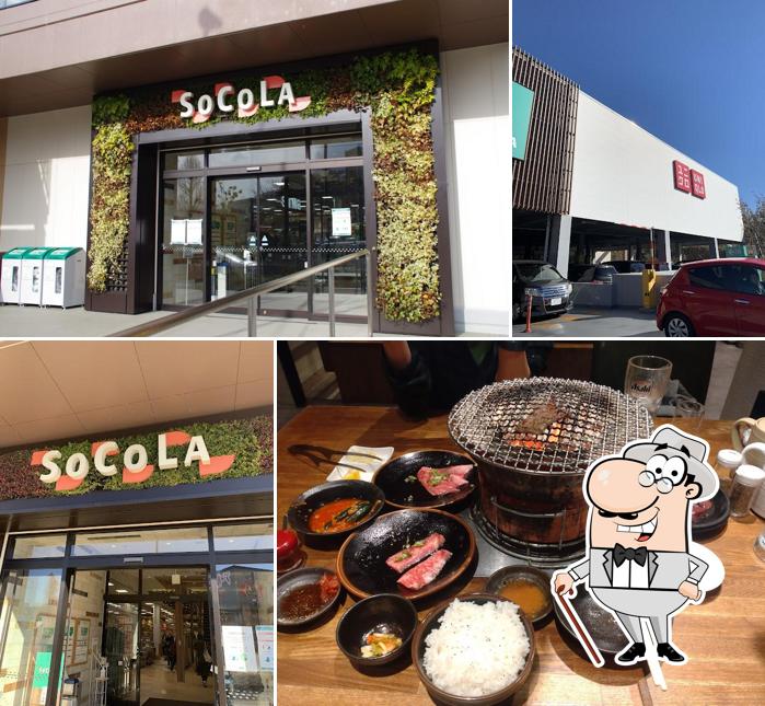 SOCOLA Wakabadai