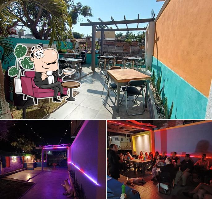 Terraza Ivis