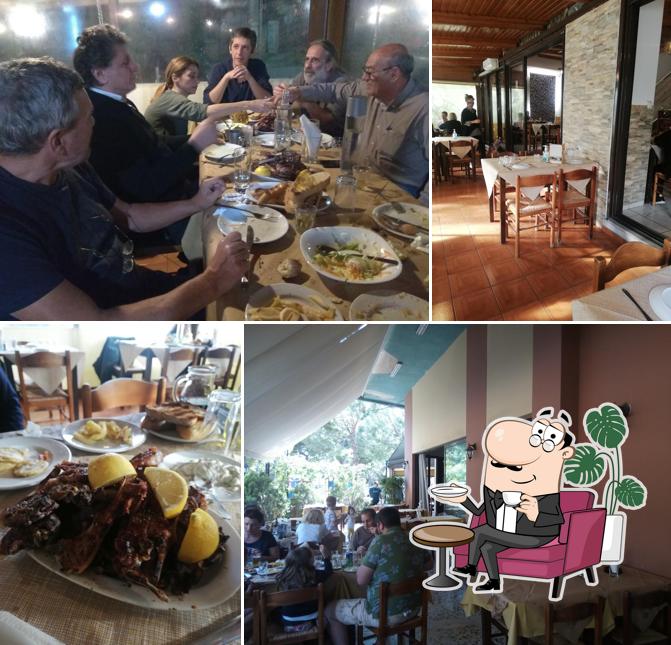 Tavern Epirus
