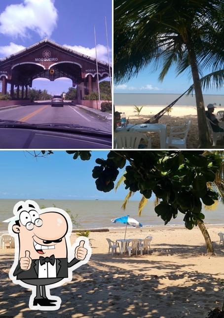 O Azulão