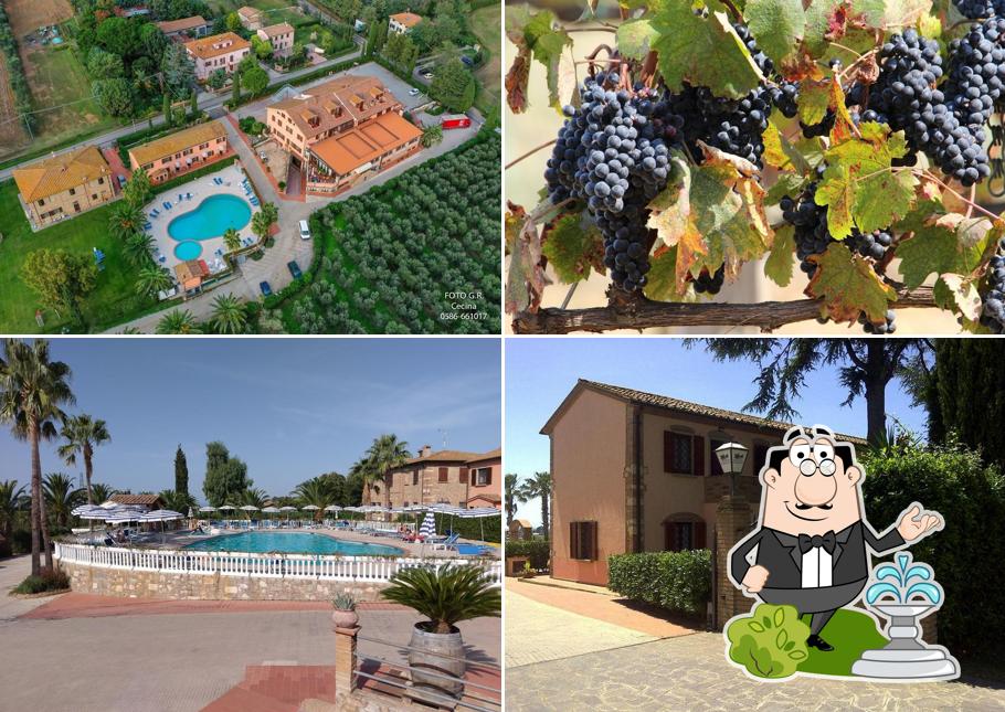 Tenuta Elisabetta