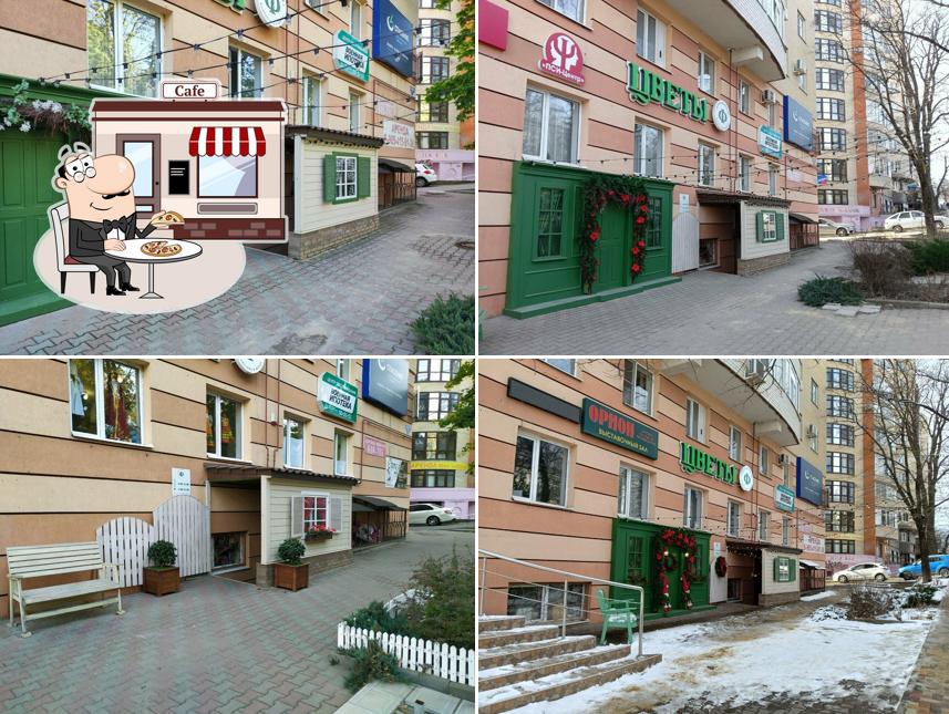 Флора фэнтези