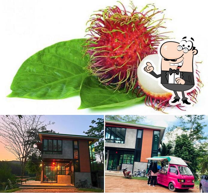 Rambutan Coffee