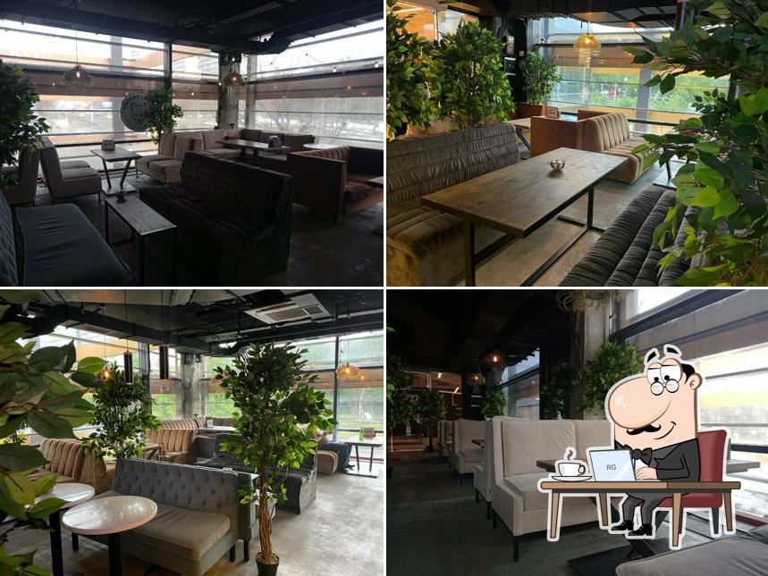 Hookah Loft 24