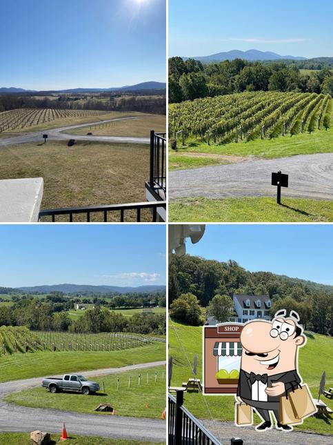 Delaplane Cellars