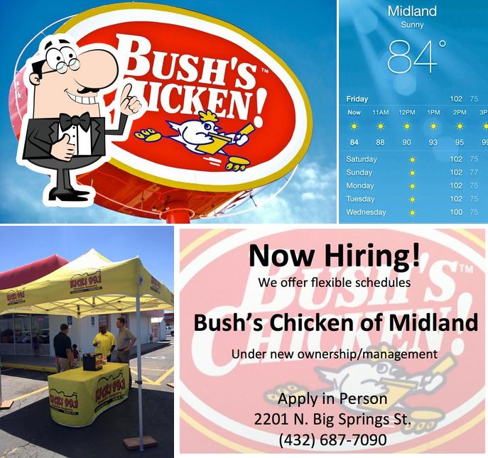 Bush's Chicken