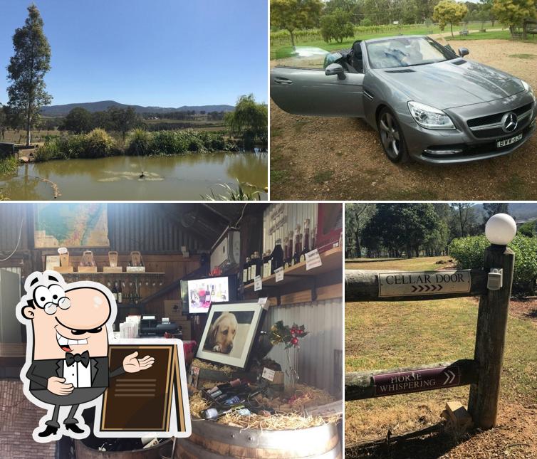 Hanging Tree Wines - Hunter Valley