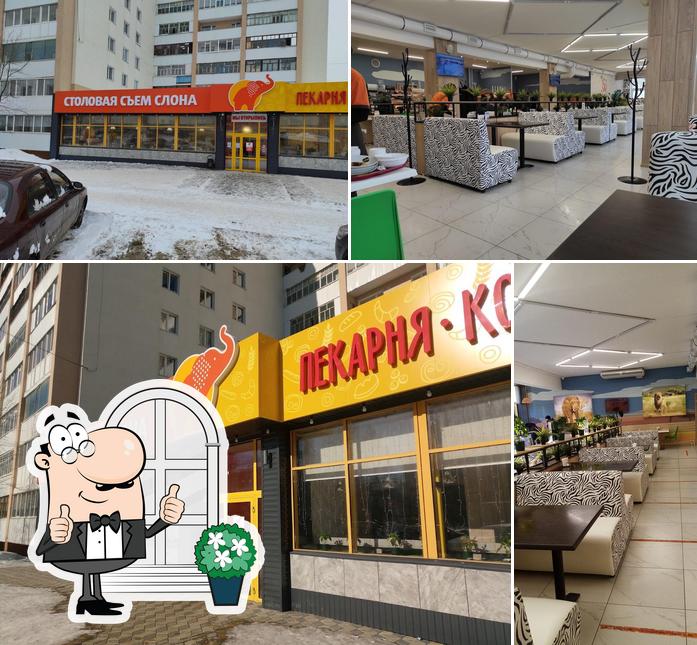 Съем слона