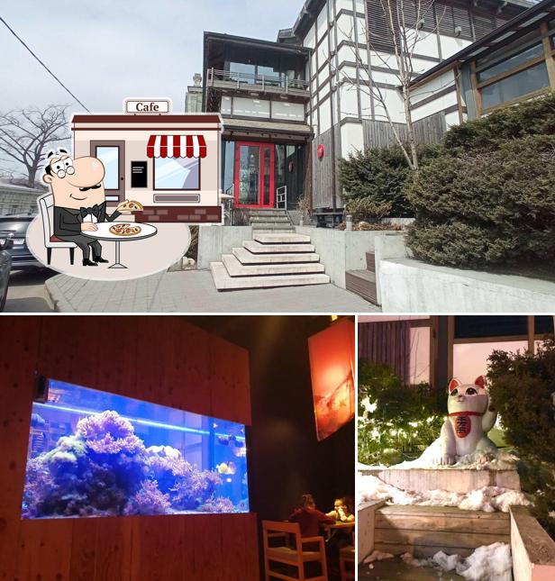 Наслаждайтесь свежим воздухом и видом, открывающемся из "Токио"