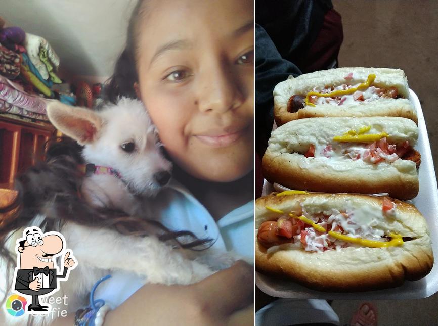 HOTDOGS AYALA