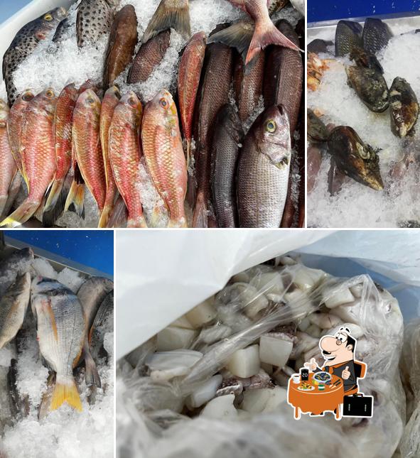 Shark Sea Food