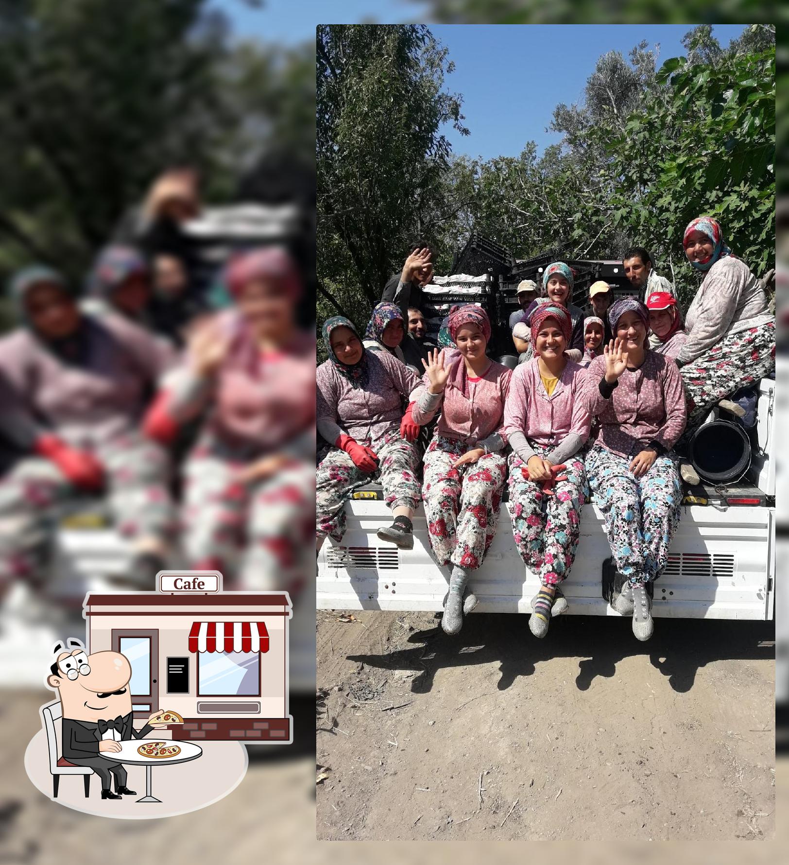 Tütüncü Baba