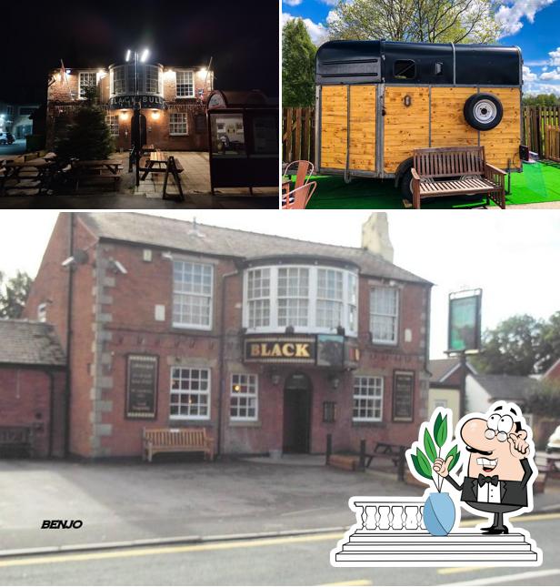 The Black Bull