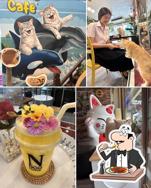 NDoo Cafe เอ็นดูคาเฟ่สมุทรสงคราม เมี๊ยววววว